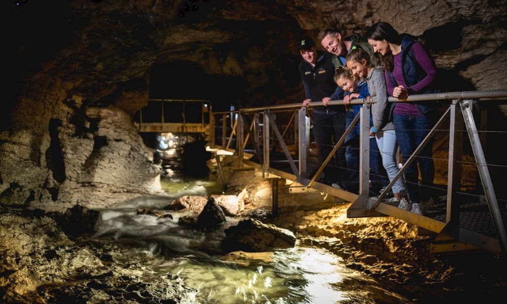 Te Anau Glowworm Caves Tour - تصویر 4