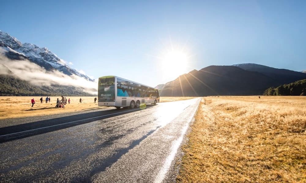 Milford Sound Coach and Cruise from Te Anau - تصویر 4