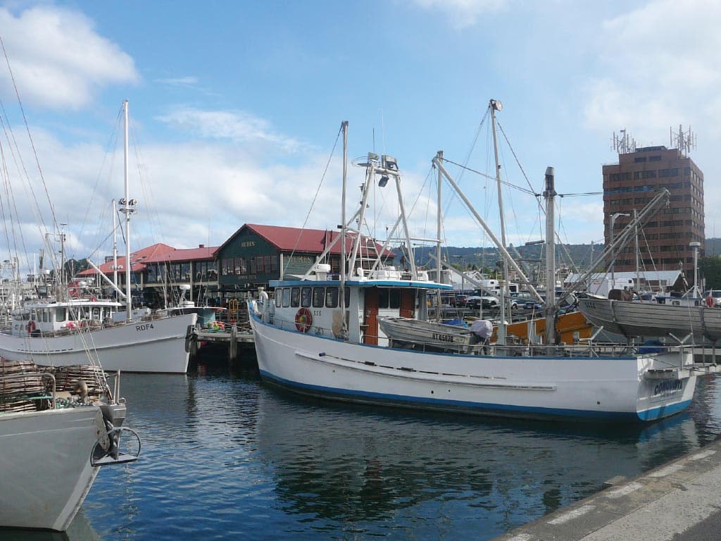 Bonorong Wildlife Sanctuary and Hobart City Tour - تصویر 8