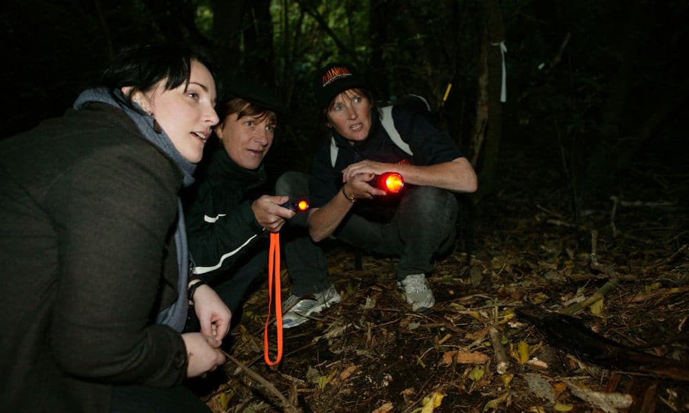 Zealandia Night Tour - تصویر اصلی