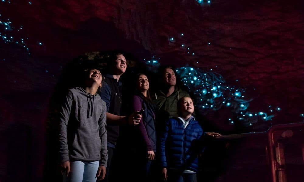 Te Anau Glowworm Caves Tour - تصویر 3