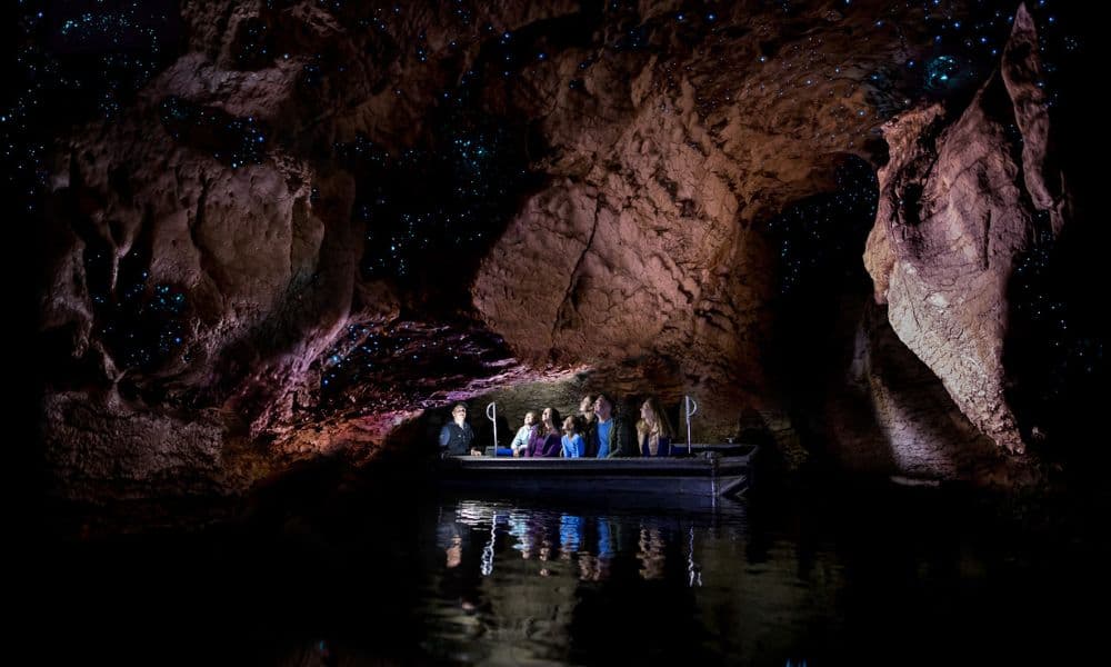 Te Anau Glowworm Caves Tour - تصویر 2