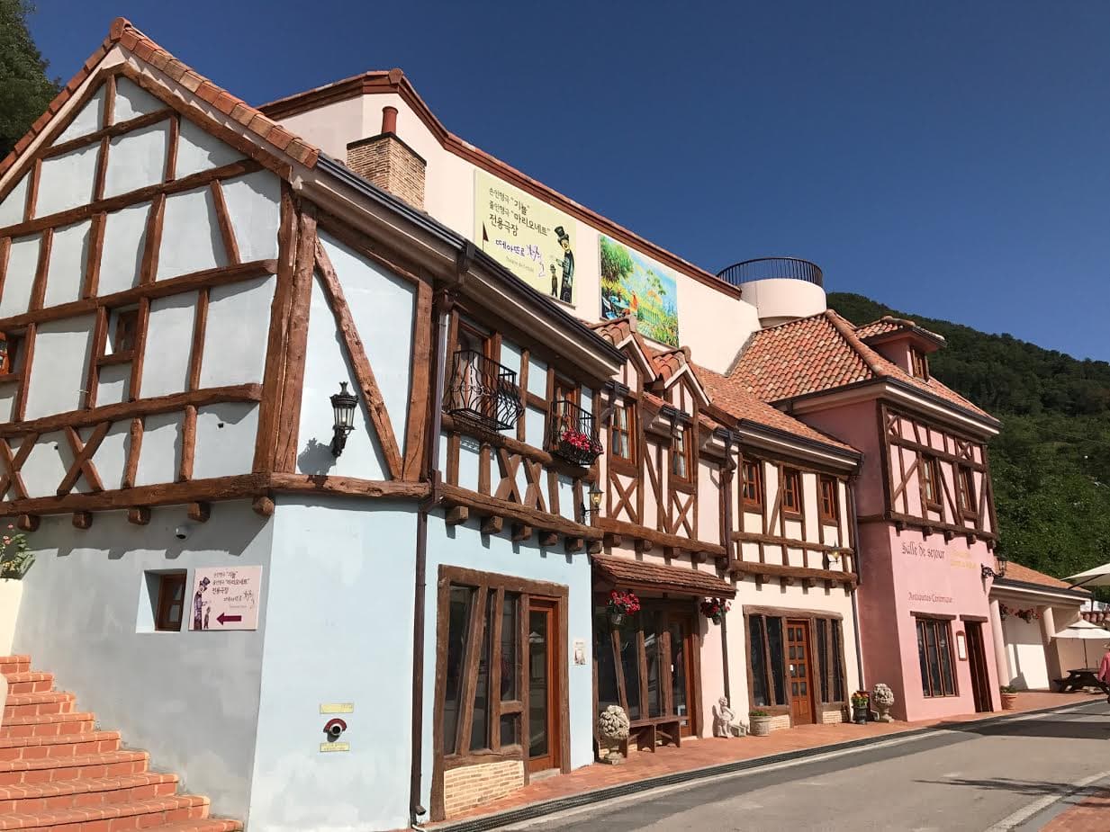 Nami Island, Petite France, and Italian Village Tour from Seoul - تصویر 8