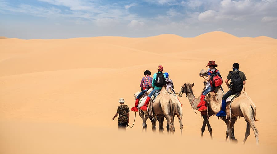 Morning Desert Safari Tour from Dubai - تصویر اصلی
