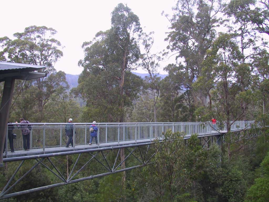 Huon Valley Tour - تصویر 10