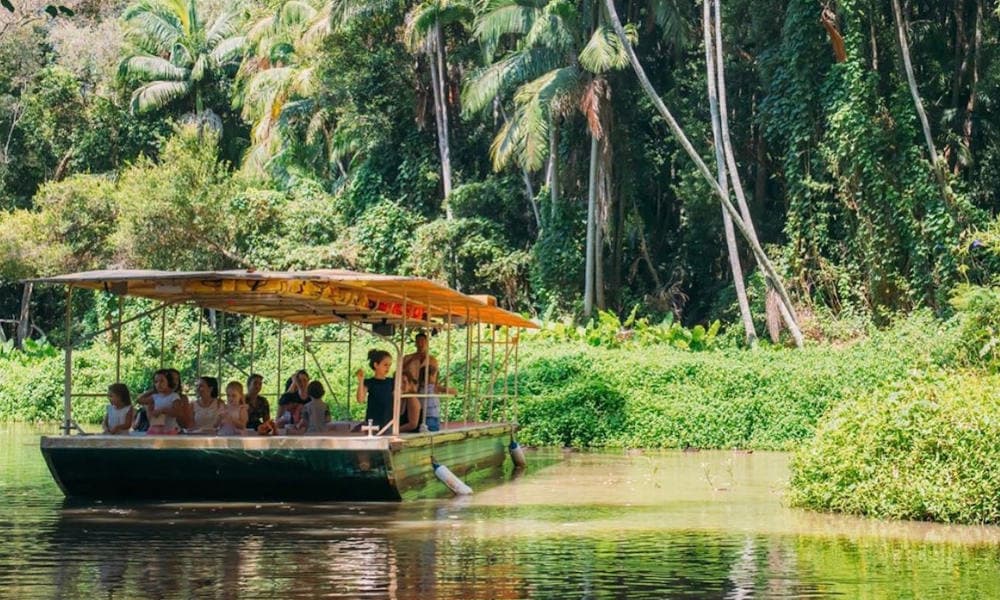 Tropical Fruit World Ticket - تصویر اصلی