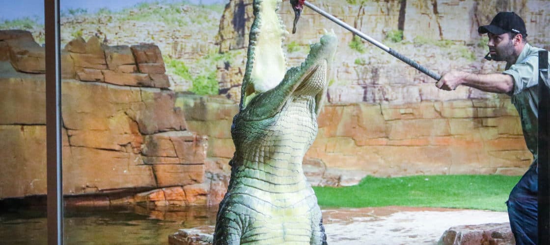 Ballarat Wildlife Park Tickets - تصویر 3