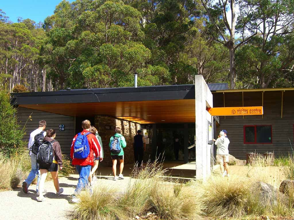 Russell Falls Tour from Hobart - تصویر 12
