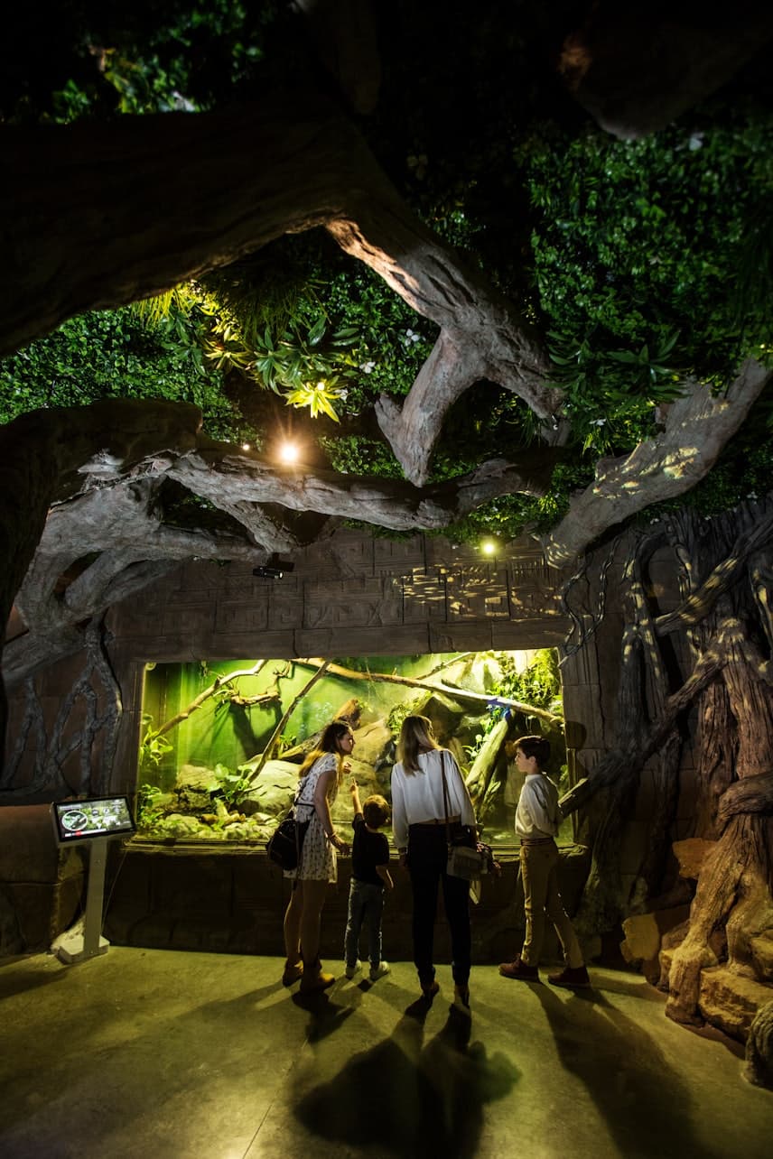 Seville Aquarium Ticket - تصویر 13