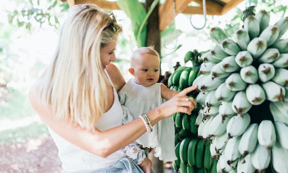 Tropical Fruit World Ticket - تصویر 4