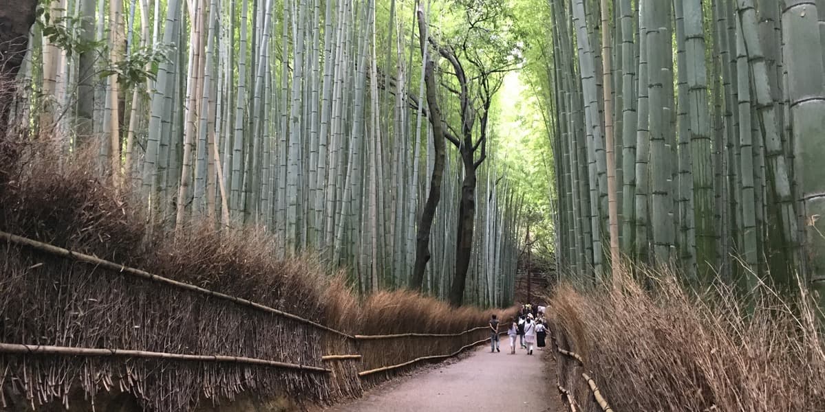Kyoto Food and Drink Tour - Arashiyama - تصویر 6