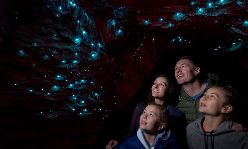 Te Anau Glowworm Caves Tour - تصویر اصلی