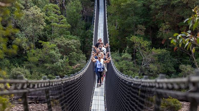 Tahune AirWalk Ticket - تصویر اصلی