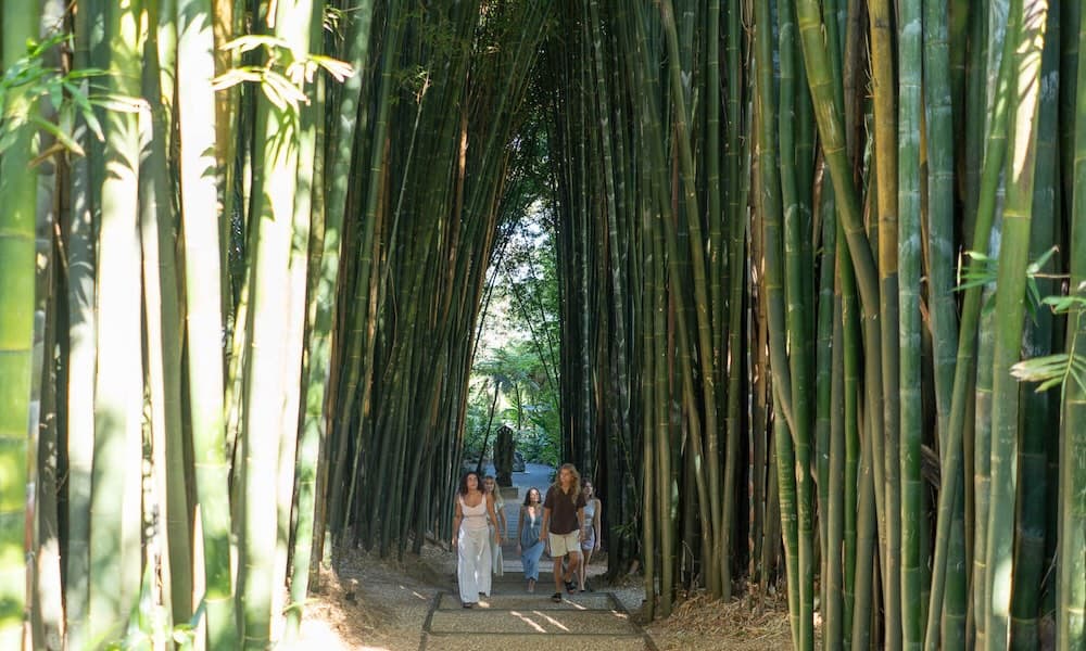 Crystal Castle and Shambhala Gardens in Byron Bay Ticket - تصویر 3
