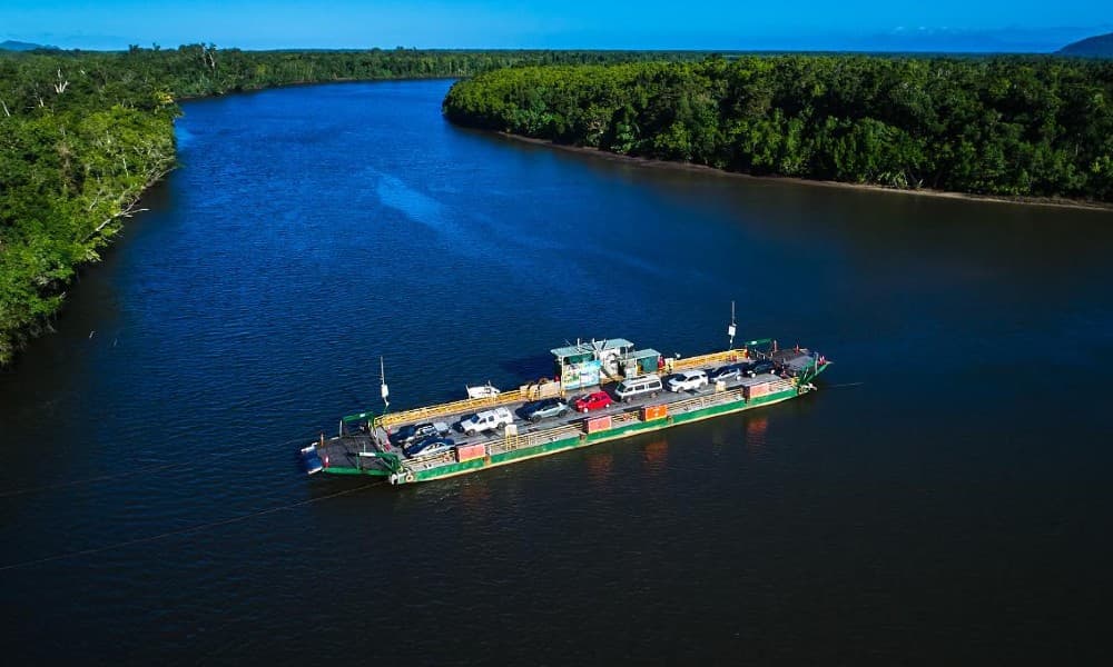 Crocodile Express Daintree Cruise from Daintree Gateway - تصویر 5