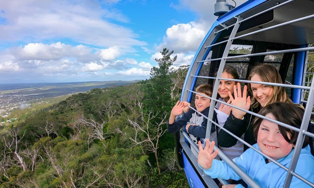Arthur’s Seat Eagle Cable Car Ride Over the Mornington Peninsula - تصویر 6