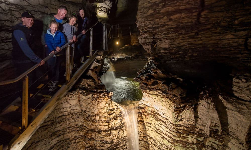 Te Anau Glowworm Caves Tour - تصویر 6