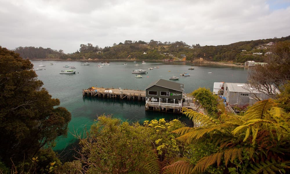 Stewart Island Ferry - Bluff to Stewart Island - تصویر 4