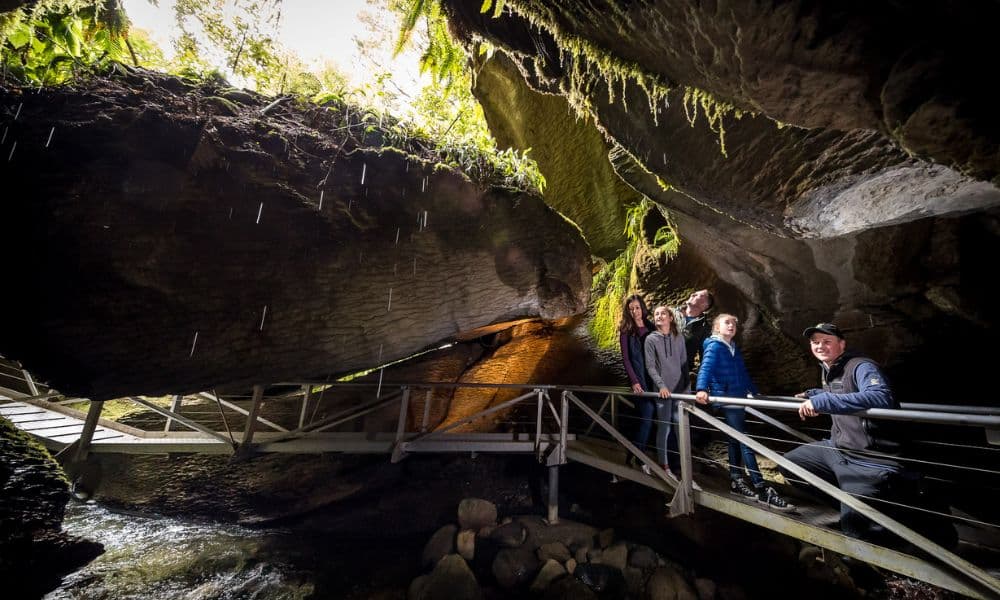 Te Anau Glowworm Caves Tour - تصویر 5