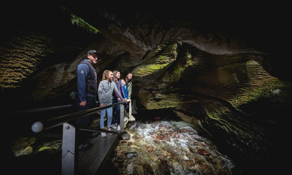 Te Anau Glowworm Caves Tour - تصویر 7